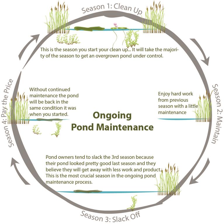 The Ongoing Process of Pond Maintenance Pond Champs